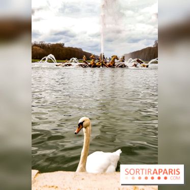 Les Grandes Eaux Musicales 2018 au Château de Versailles
