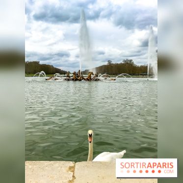 Les Grandes Eaux Musicales 2018 au Château de Versailles