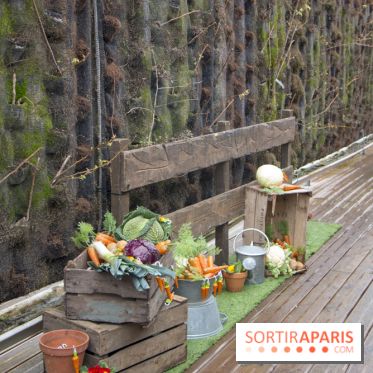 Chasse aux oeufs de Pâques Pierre Lapin au BHV Marais : les photos