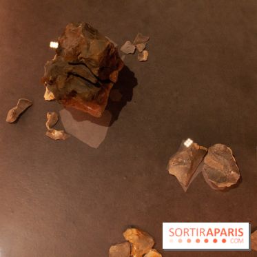 Exposition Néanderthal au Musée de l'Homme