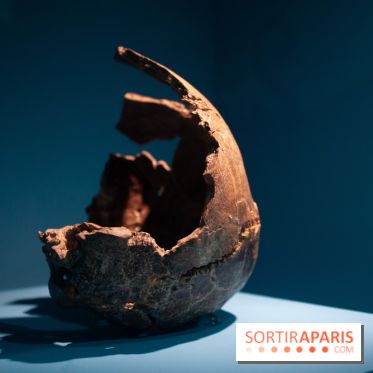 Exposition Néanderthal au Musée de l'Homme