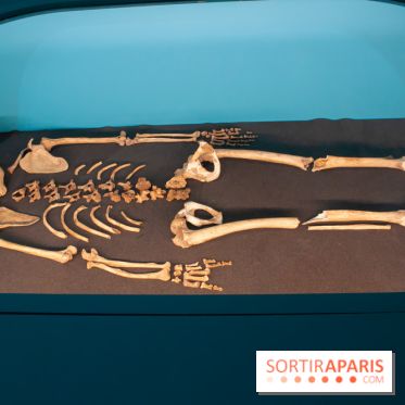 Exposition Néanderthal au Musée de l'Homme