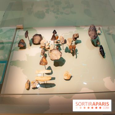 Exposition Néanderthal au Musée de l'Homme