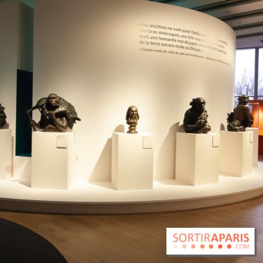 Exposition Néanderthal au Musée de l'Homme