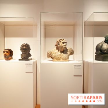 Exposition Néanderthal au Musée de l'Homme