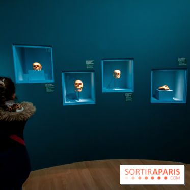 Exposition Néanderthal au Musée de l'Homme