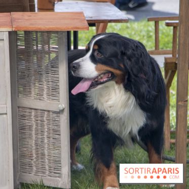 Week-end de reconstitution historique au Musée de la Grande Guerre : les photos