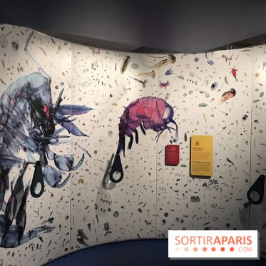 Exposition Cyclops à l'Aquarium Tropical de Paris