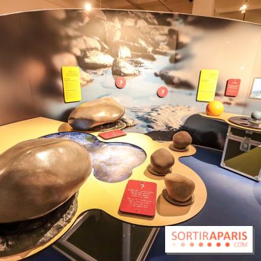 Exposition Cyclops à l'Aquarium Tropical de Paris