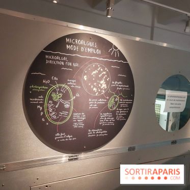 Exposition Cyclops à l'Aquarium Tropical de Paris