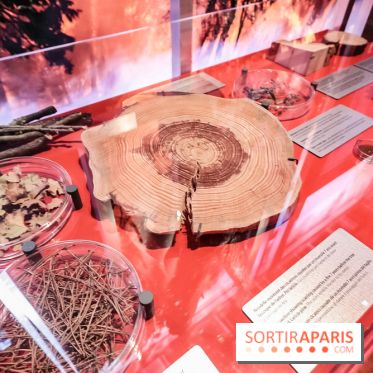 Exposition Feu à la Cité des Sciences