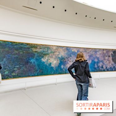Les Nymphéas et artistes abstraits au Musée de l'Orangerie