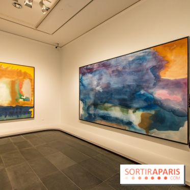 Les Nymphéas et artistes abstraits au Musée de l'Orangerie