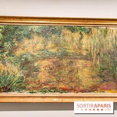 Les Nymphéas et artistes abstraits au Musée de l'Orangerie