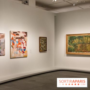 Les Nymphéas et artistes abstraits au Musée de l'Orangerie