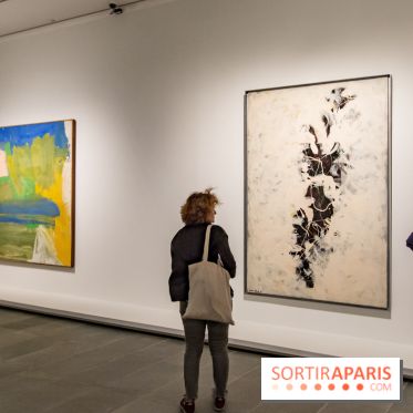 Les Nymphéas et artistes abstraits au Musée de l'Orangerie