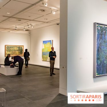 Les Nymphéas et artistes abstraits au Musée de l'Orangerie