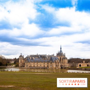 Nature, le spectacle équestre à Chantilly