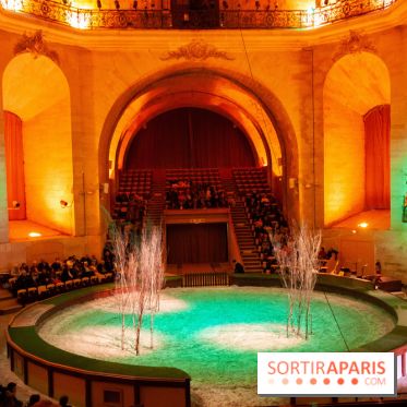 Nature, le spectacle équestre à Chantilly