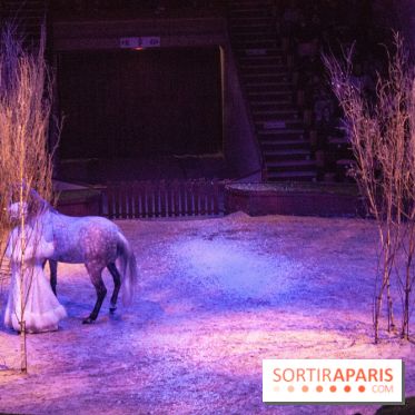Nature, le spectacle équestre à Chantilly