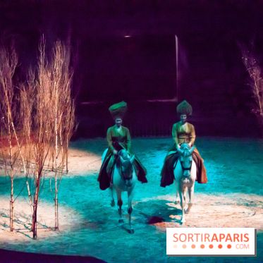 Nature, le spectacle équestre à Chantilly