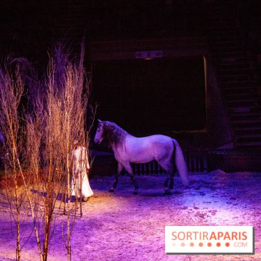 Nature, le spectacle équestre à Chantilly