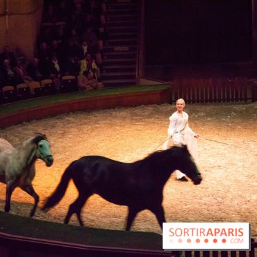 Nature, le spectacle équestre à Chantilly