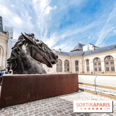 Nature, le spectacle équestre aux Grandes Ecuries du Domaine de Chantilly