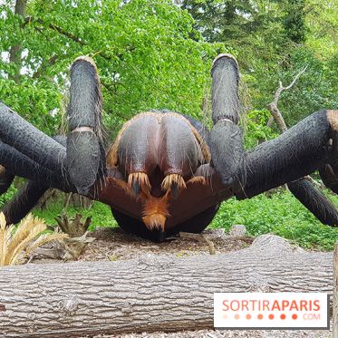 Zoo de Thoiry 2018 : les photos