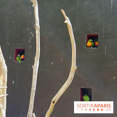 Zoo de Thoiry 2018 : les photos