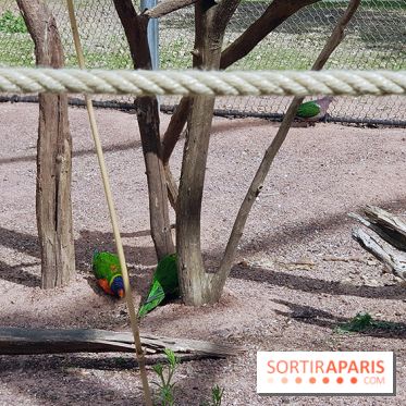 Zoo de Thoiry 2018 : les photos