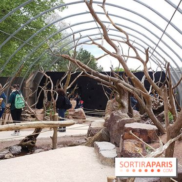 Zoo de Thoiry 2018 : les photos