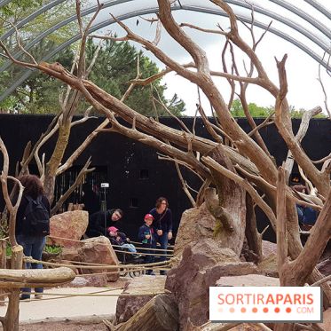 Zoo de Thoiry 2018 : les photos