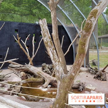 Zoo de Thoiry 2018 : les photos