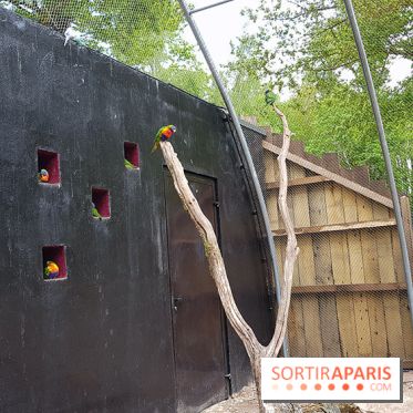 Zoo de Thoiry 2018 : les photos