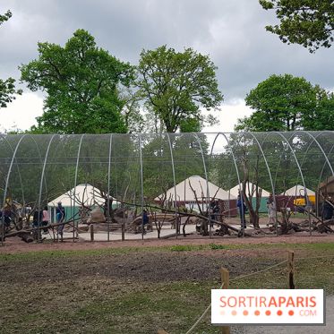 Zoo de Thoiry 2018 : les photos