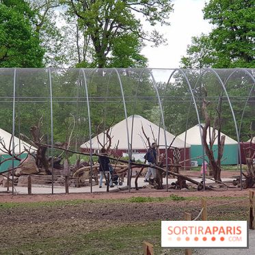 Zoo de Thoiry 2018 : les photos