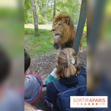 Zoo de Thoiry 2018 : les photos