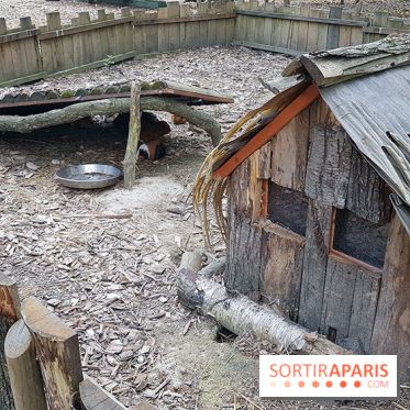 Zoo de Thoiry 2018 : les photos