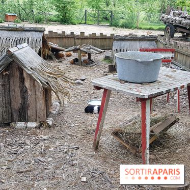 Zoo de Thoiry 2018 : les photos