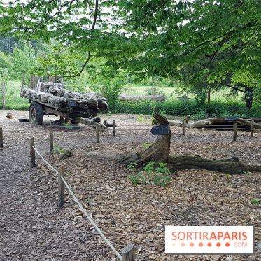 Zoo de Thoiry 2018 : les photos