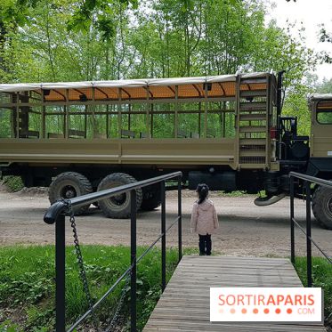 Thoiry 2018 - Safari