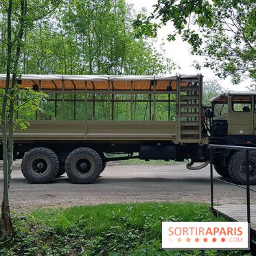 Thoiry 2018 - Safari