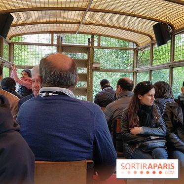 Thoiry 2018 - Safari