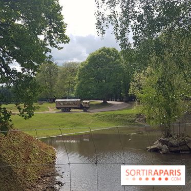 Thoiry 2018 - Safari Air Park