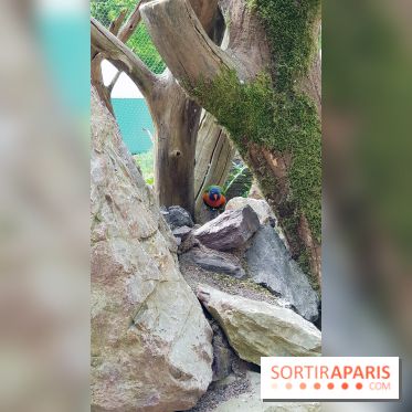 Thoiry 2018 - Trek Australien