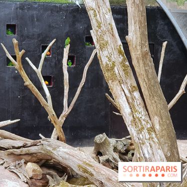 Thoiry 2018 - Trek Australien