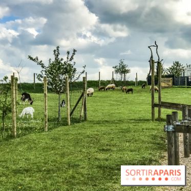 Aventure Land 2018, les photos