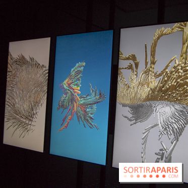 1, 2, 3, Data : les photos