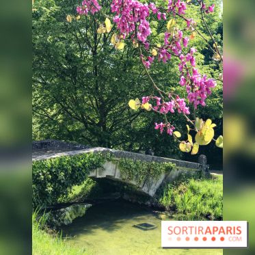 La Maison de la Reine rénovée au Château de Versailles